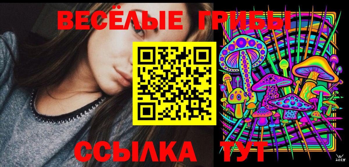 Псилоцибиновые грибы Psilocybine cubensis  Вход с VPN  хочу наркоту  Сосновоборск 